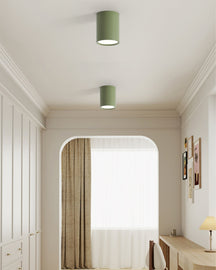 Luminaire de Plafond Élégant - Éclairage Doux et Diffus pour Intérieur