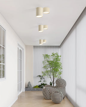 Luminaire de Plafond Élégant - Éclairage Doux et Diffus pour Intérieur
