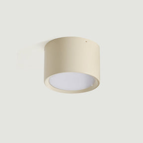 Luminaire de Plafond Élégant - Éclairage Doux et Diffus pour Intérieur