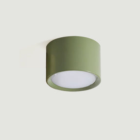 Luminaire de Plafond Élégant - Éclairage Doux et Diffus pour Intérieur