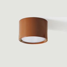 Luminaire de Plafond Élégant - Éclairage Doux et Diffus pour Intérieur