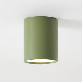 Luminaire de Plafond Élégant - Éclairage Doux et Diffus pour Intérieur