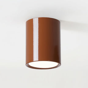 Luminaire de Plafond Élégant - Éclairage Doux et Diffus pour Intérieur
