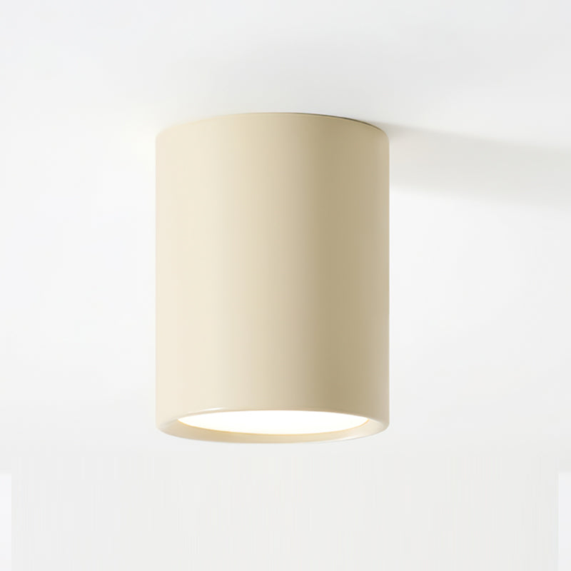 Luminaire de Plafond Élégant - Éclairage Doux et Diffus pour Intérieur