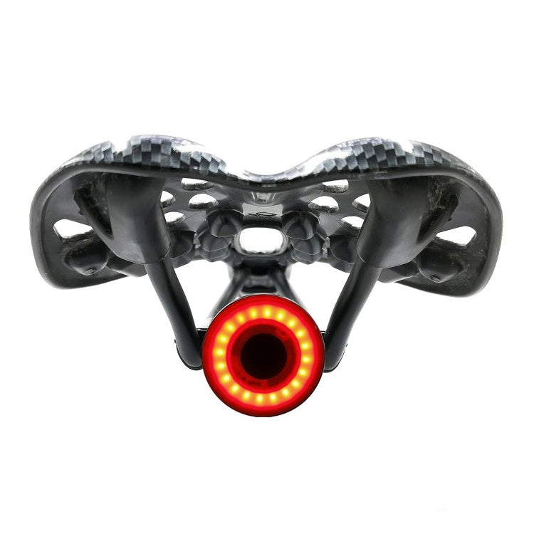 Lumière de Frein de Vélo Étanche - Sécurité Nocturne avec Capteur Intelligent