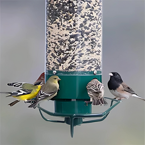 Maison pour Oiseaux Résistante aux Écureuils - Protection Sûre et Durable pour Nourriture