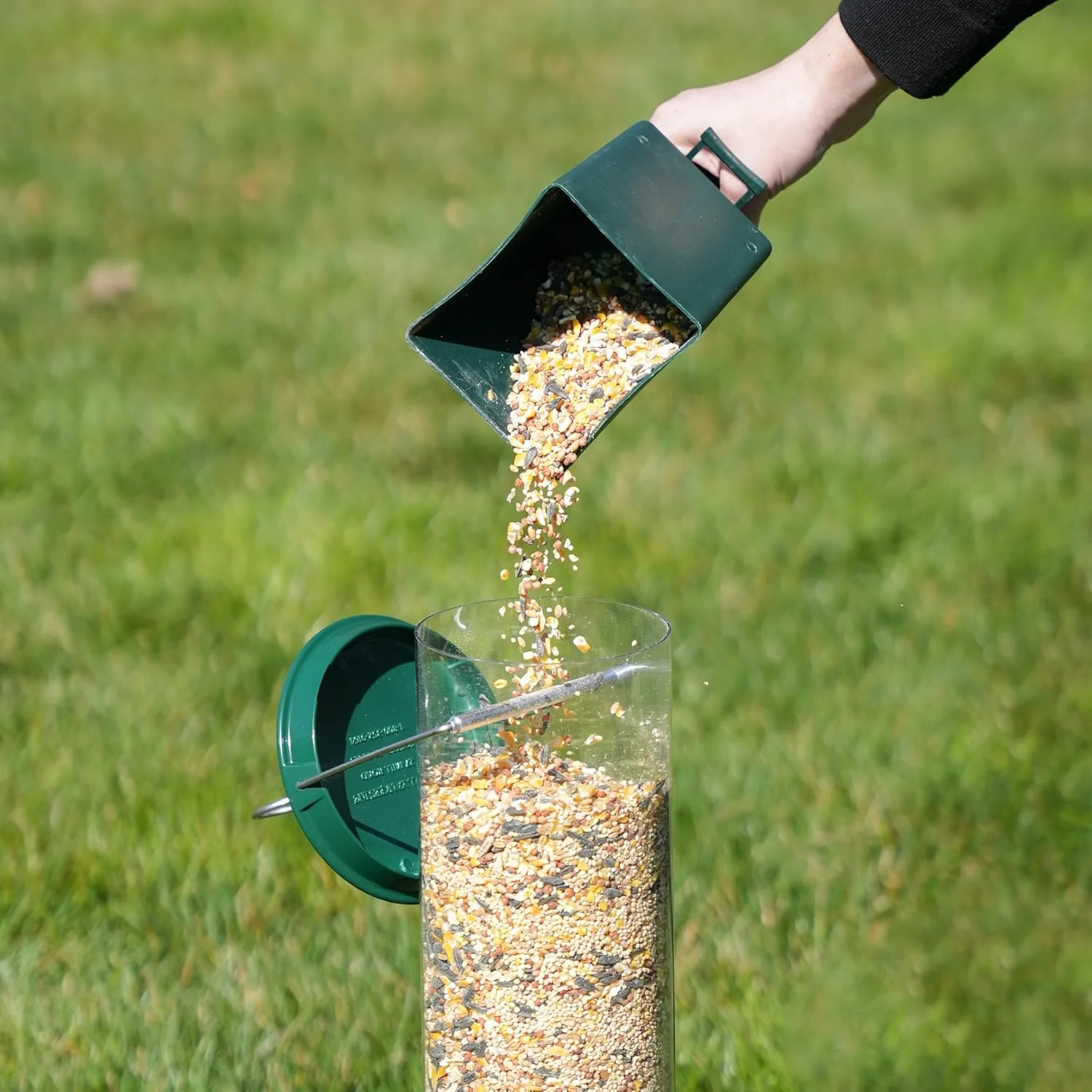 Maison pour Oiseaux Résistante aux Écureuils - Protection Sûre et Durable pour Nourriture
