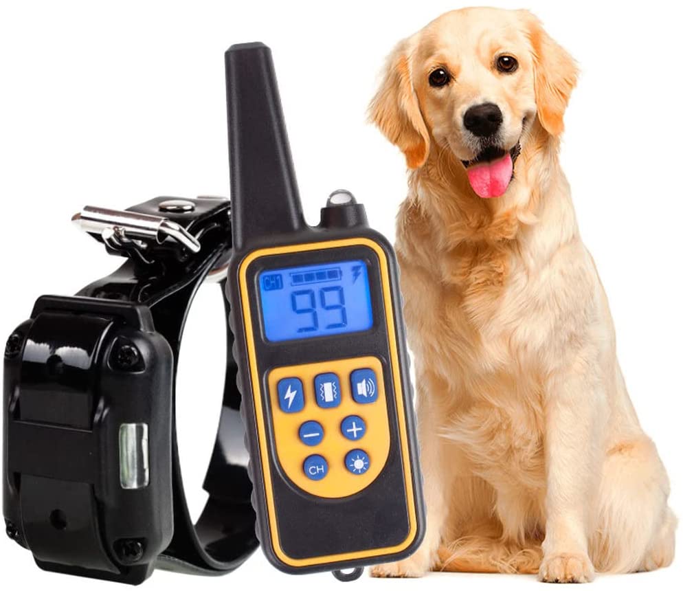 Collier de Dressage pour Chien - Rechargeable, Étanche et Longue Portée