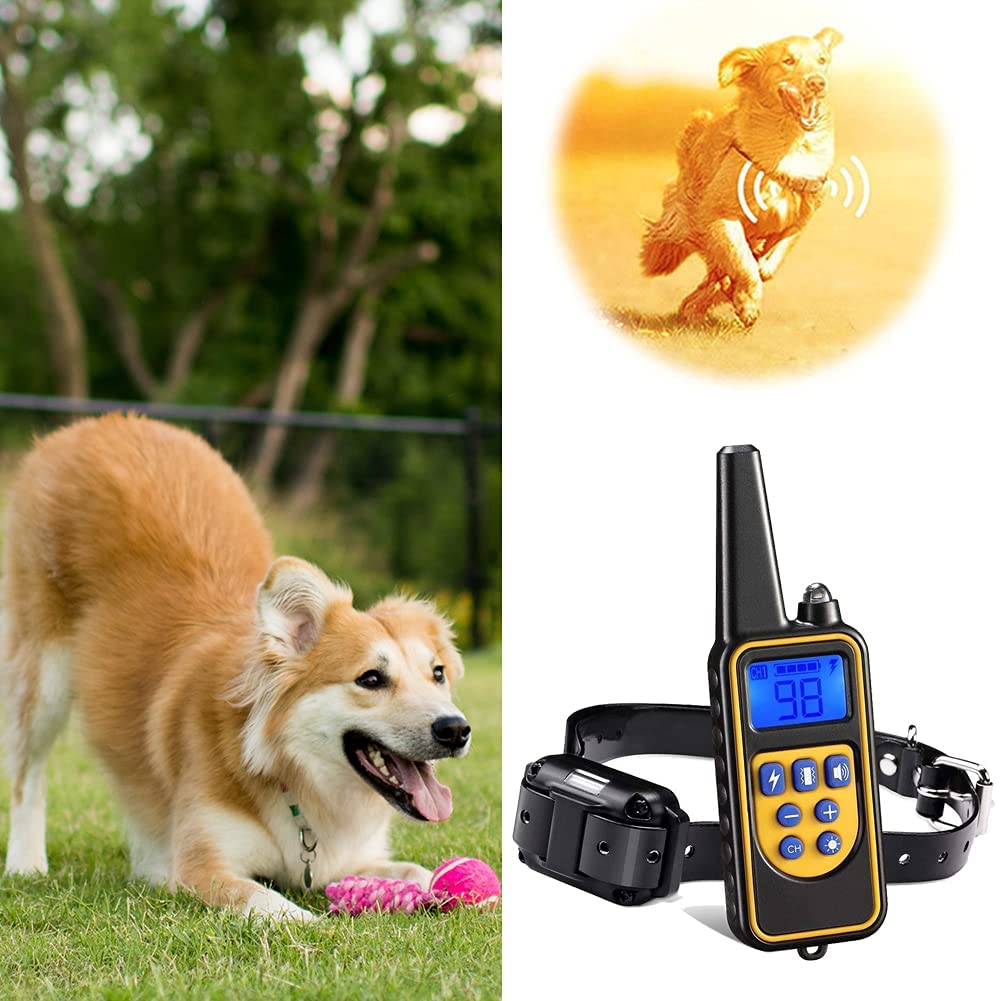 Collier de Dressage pour Chien - Rechargeable, Étanche et Longue Portée