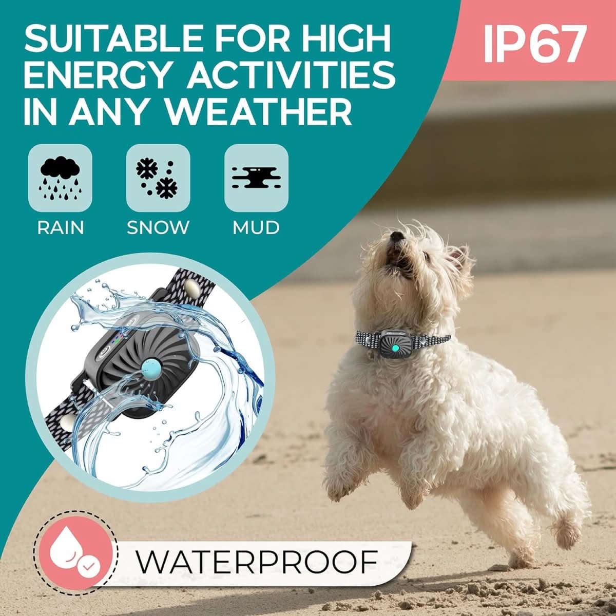 Collier Anti-Aboiement pour Chiens | Entraînement Doux et Efficace