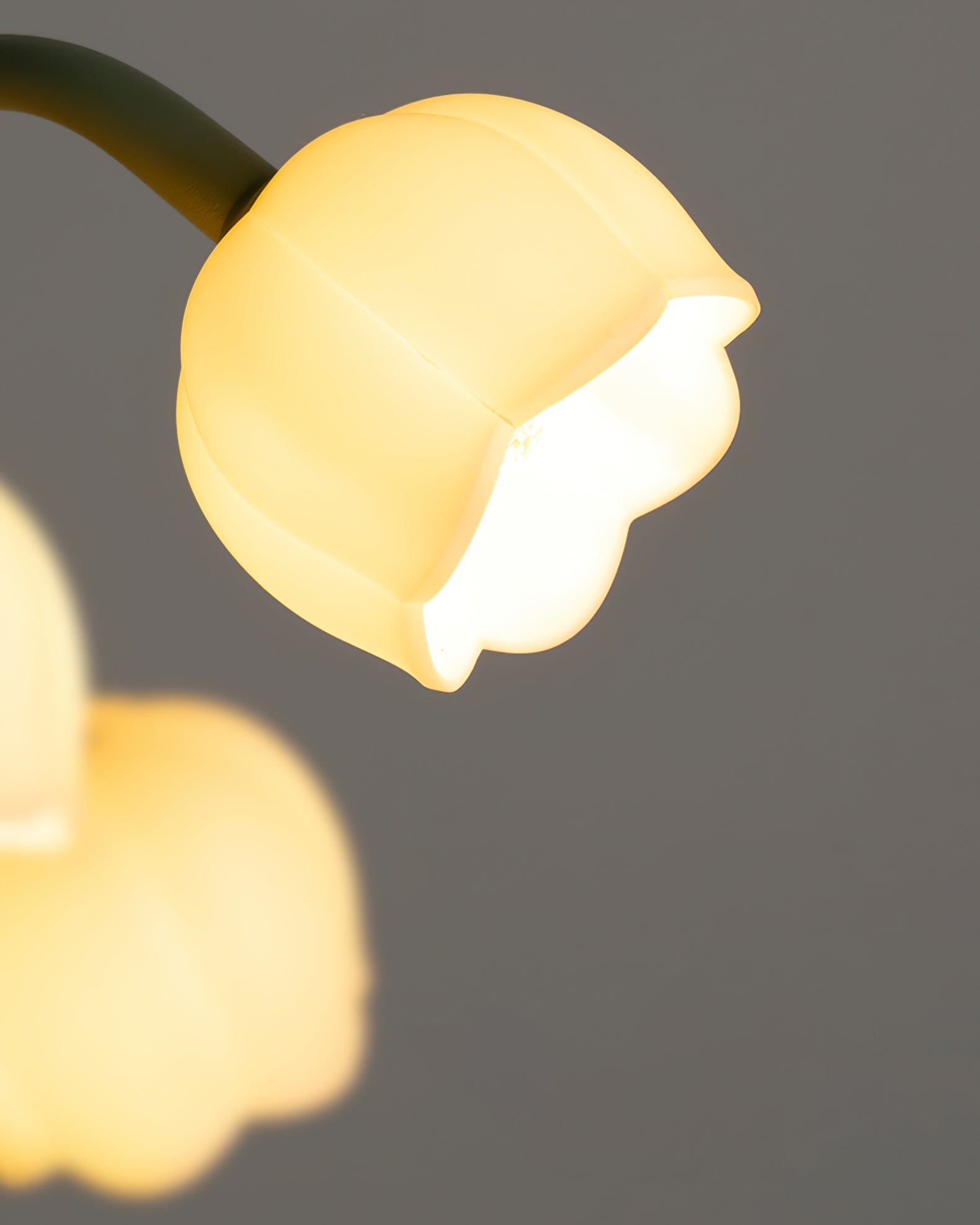 Lampe d'Intérieur au Design Orchidée - Élégance et Ambiance Raffinée