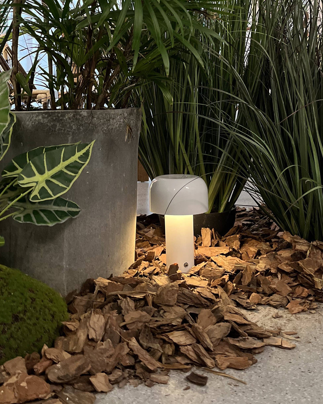 Lampe LED Rechargeable Portable - Design Élégant et Fonctionnel