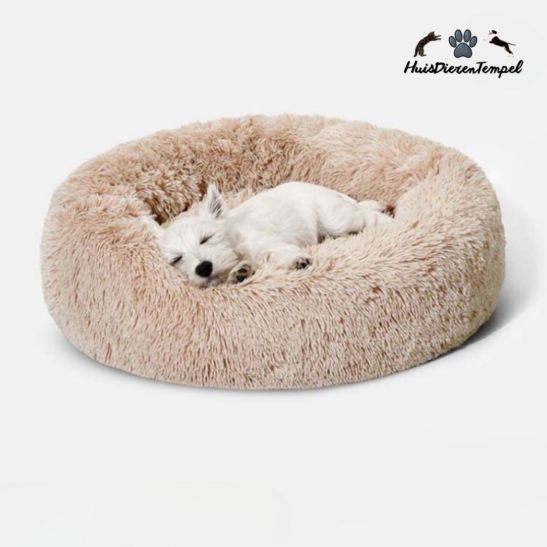 Lit Orthopédique pour Chien - Confort Doux et Hypoallergénique
