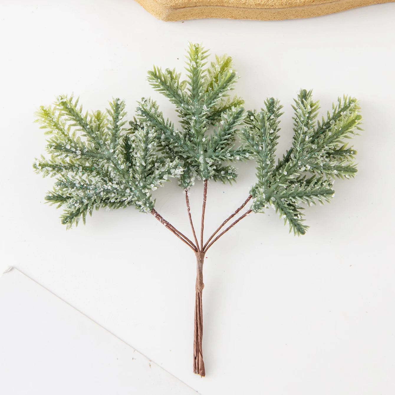 Décoration de Feuilles de Cactus - Touche Naturelle et Bohème pour Intérieur