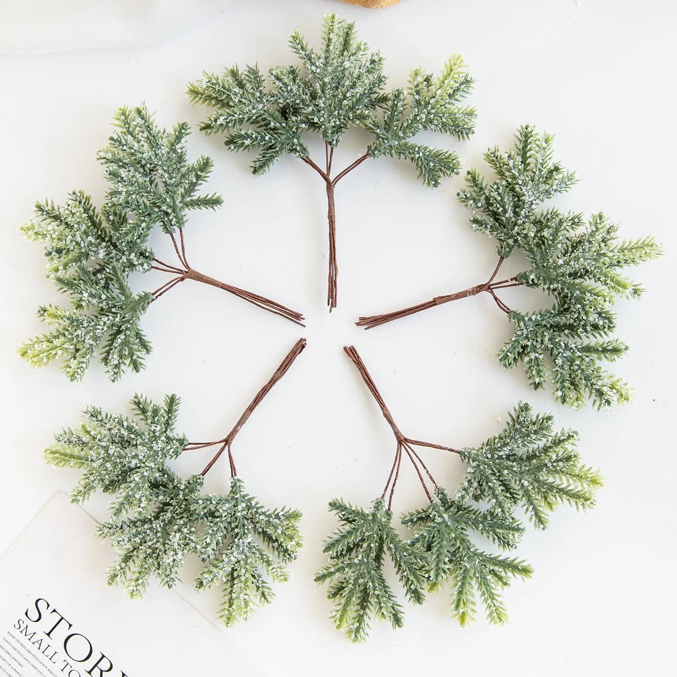 Décoration de Feuilles de Cactus - Touche Naturelle et Bohème pour Intérieur