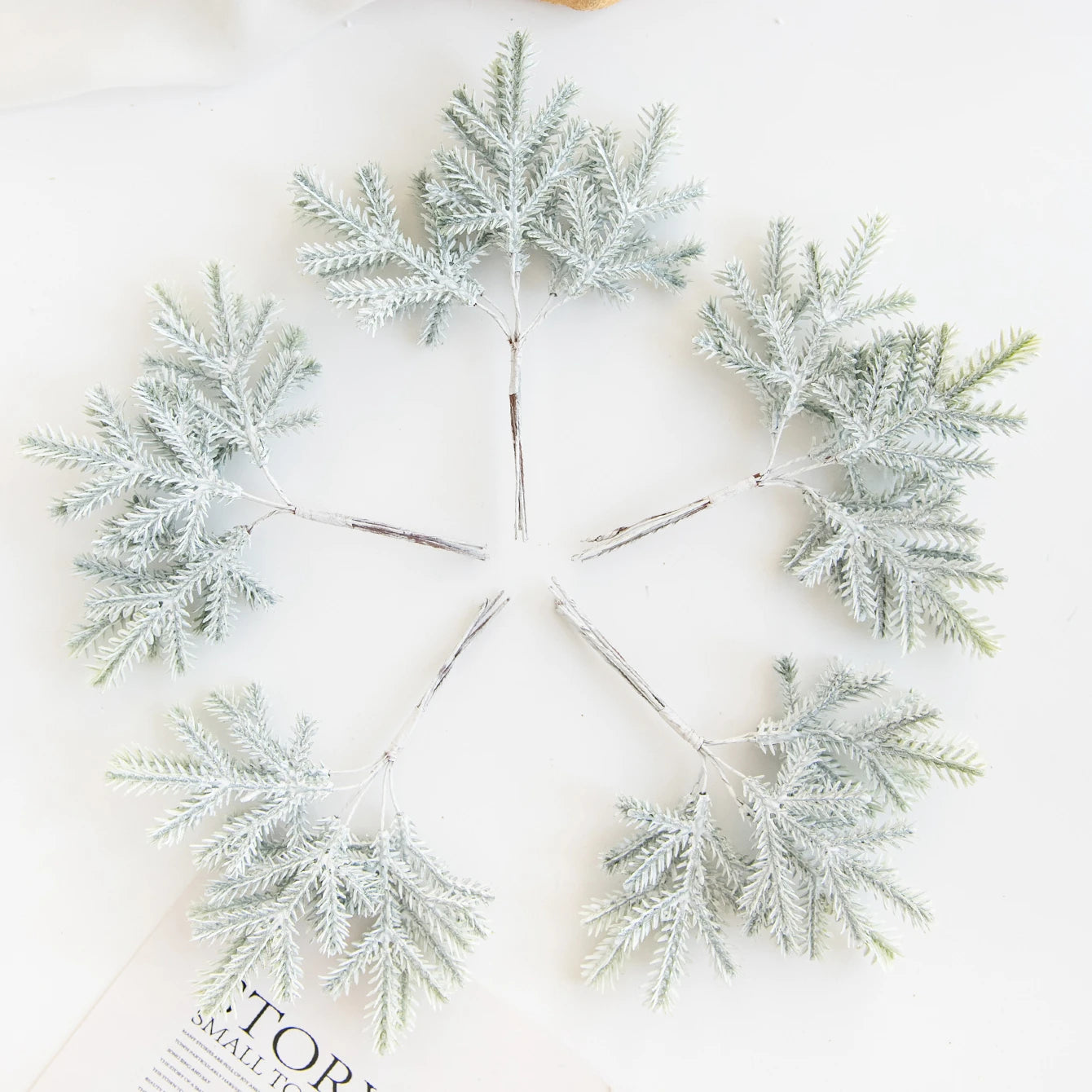 Décoration de Feuilles de Cactus - Touche Naturelle et Bohème pour Intérieur