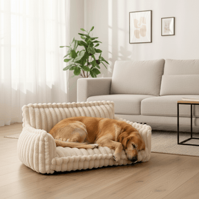 Canapé Orthopédique pour Chien | Confort et Soutien avec Mousse à Mémoire