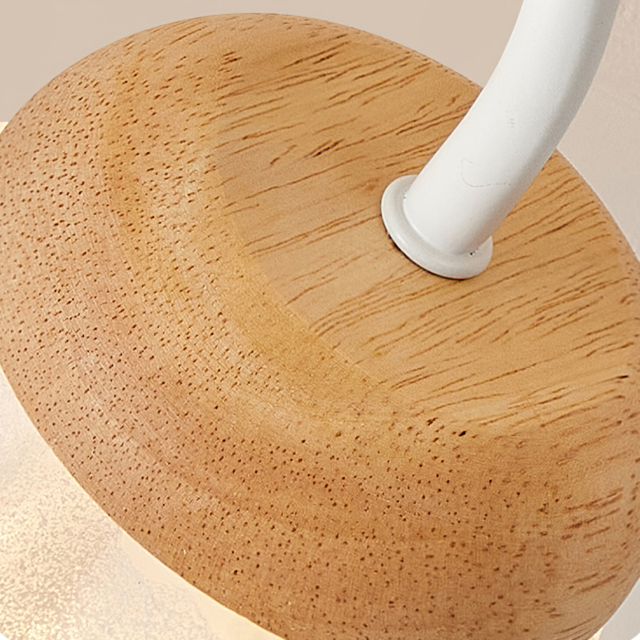 Lampe Plafonnier Floral Élégante - Design Moderne et Naturel pour Intérieur