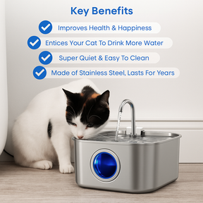 Fontaine à Eau en Acier Inoxydable - Design Élégant et Résistant aux Intempéries