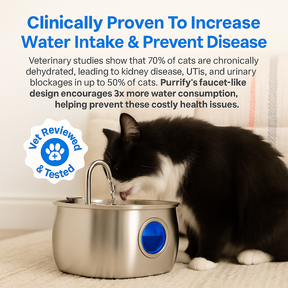 Fontaine à Eau en Acier Inoxydable - Design Élégant et Résistant aux Intempéries