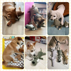Jouet Durable pour Chien avec Sifflet - Idéal pour Mâcheurs Puissants et Actifs