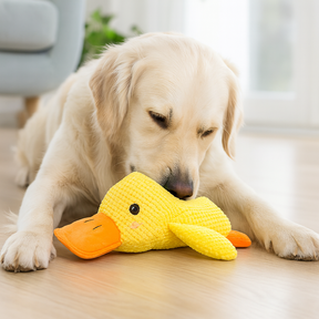 Jouet pour Chien en Peluche - Doux, Durable et Avec Couinement