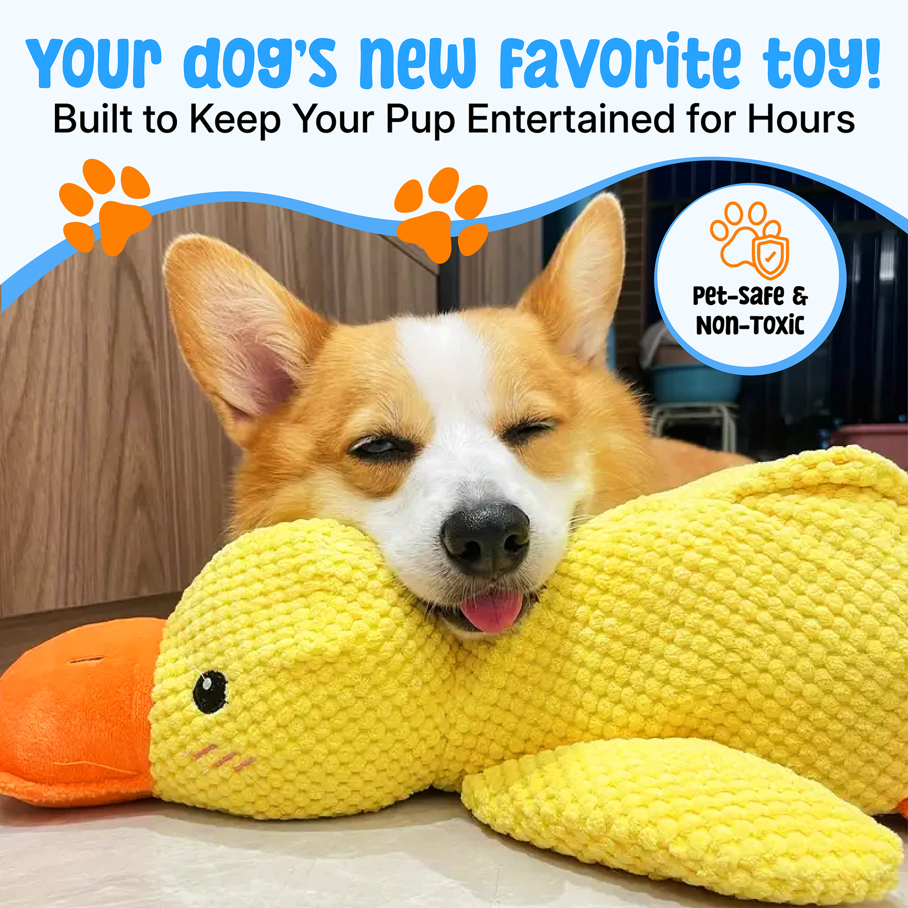Jouet pour Chien en Peluche - Doux, Durable et Avec Couinement