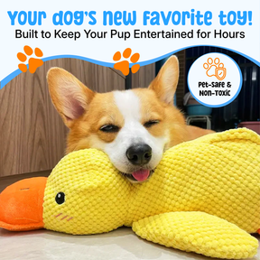 Jouet pour Chien en Peluche - Doux, Durable et Avec Couinement