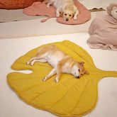 Couverture pour Chien Grande Taille - Douceur et Élégance pour Animaux