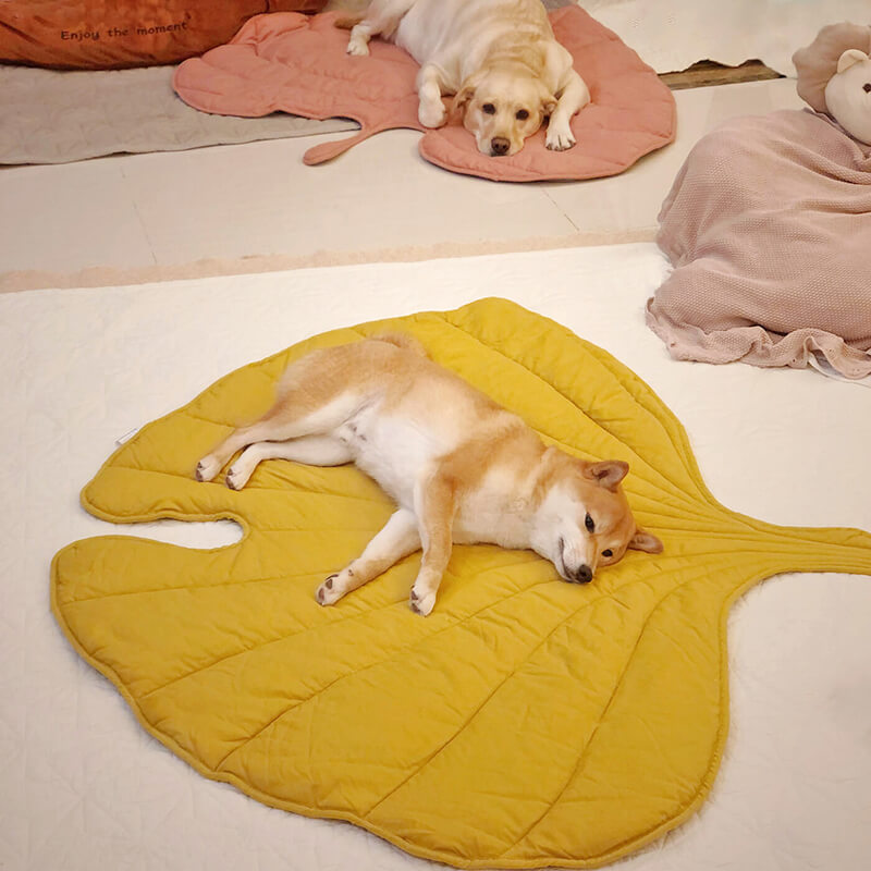 Couverture pour Chien Grande Taille - Douceur et Élégance pour Animaux