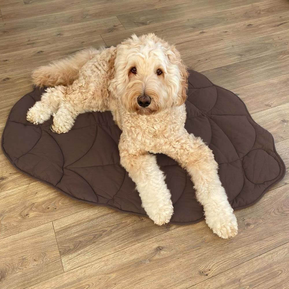 Couverture pour Chien Grande Taille - Douceur et Élégance pour Animaux