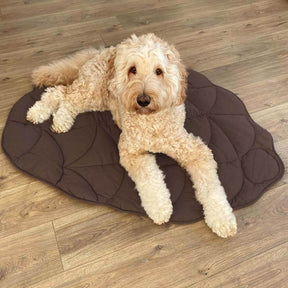 Couverture pour Chien Grande Taille - Douceur et Élégance pour Animaux
