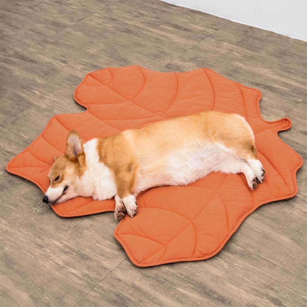 Couverture pour Chien Grande Taille - Douceur et Élégance pour Animaux