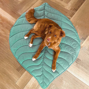 Couverture pour Chien Grande Taille - Douceur et Élégance pour Animaux