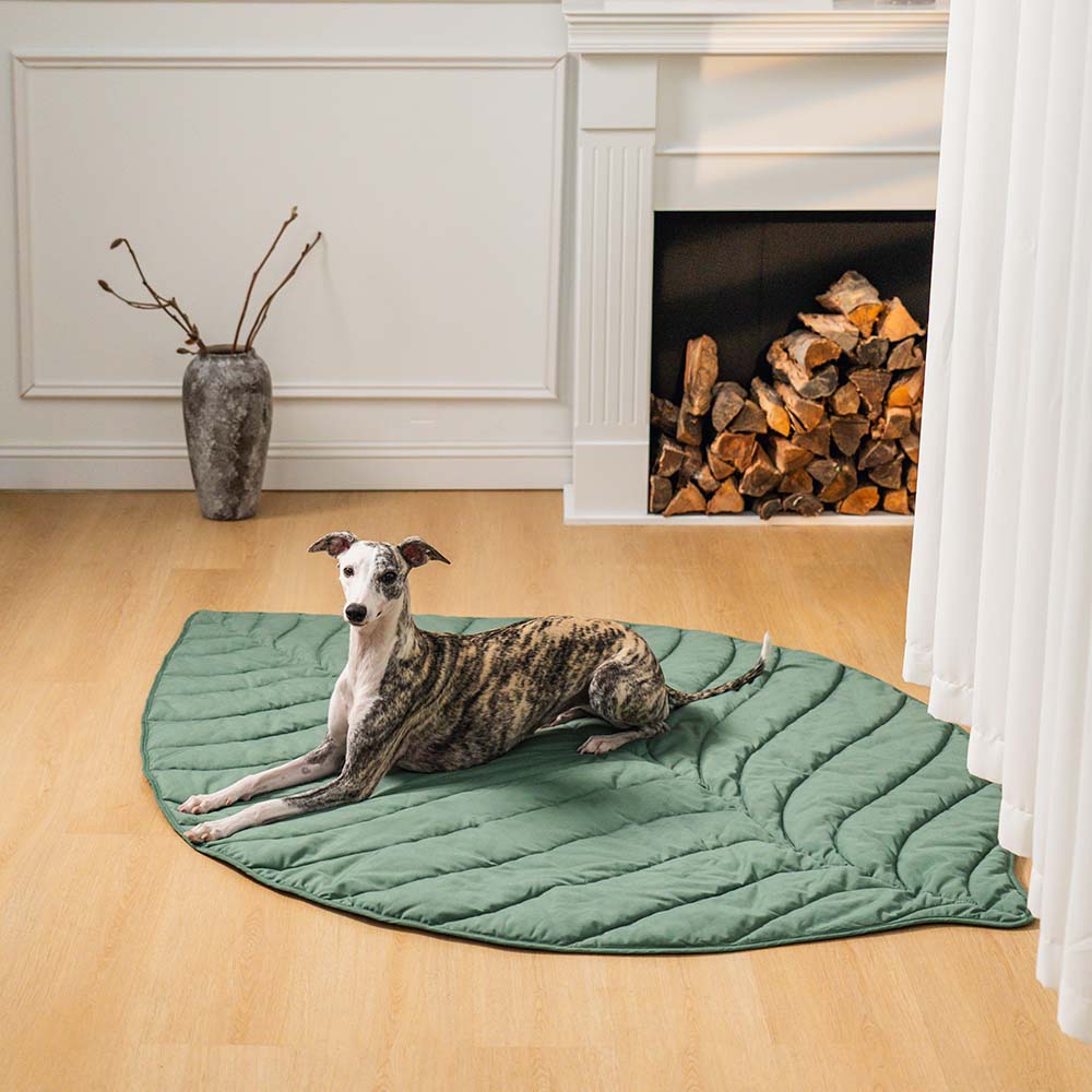 Couverture pour Chien Grande Taille - Douceur et Élégance pour Animaux