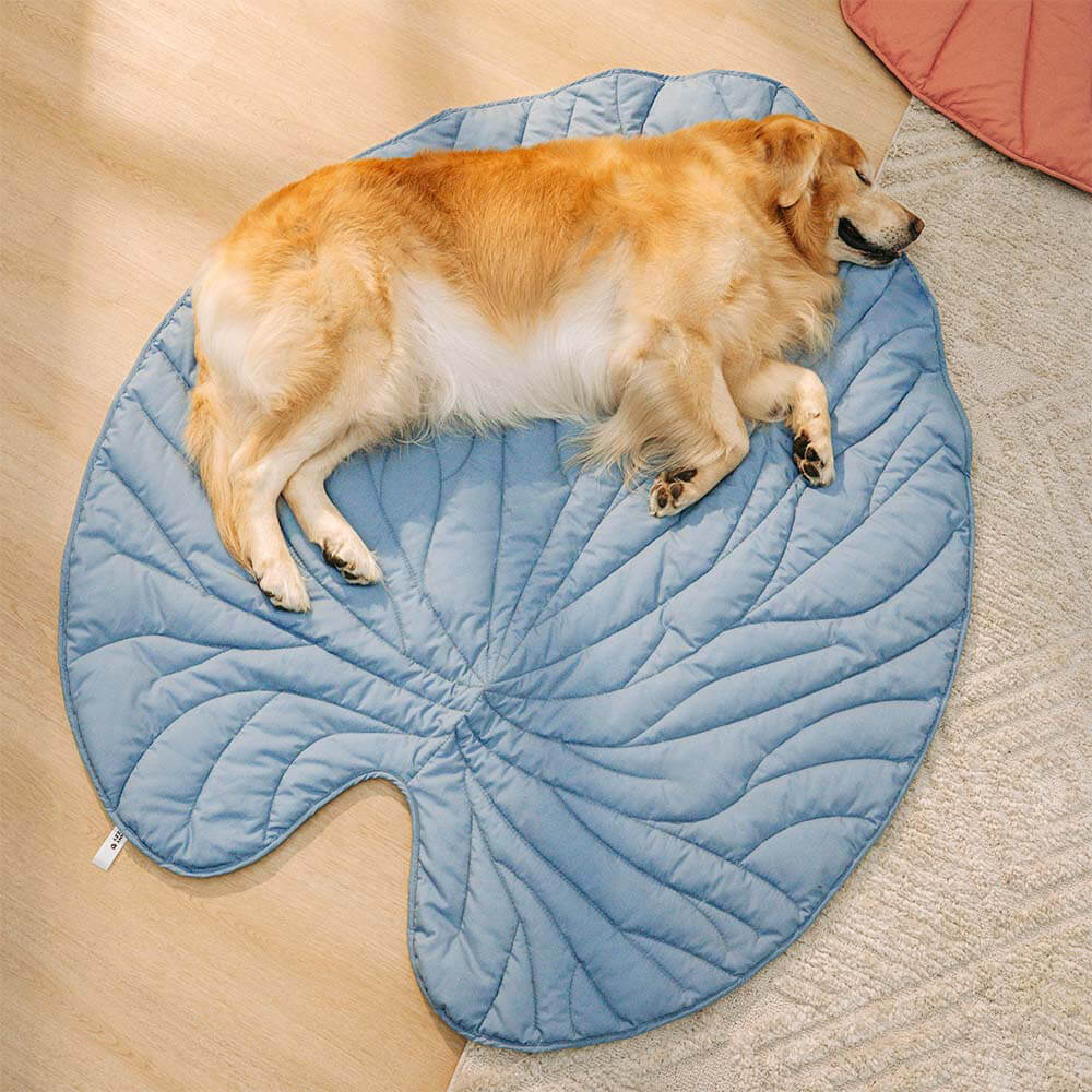 Couverture pour Chien Grande Taille - Douceur et Élégance pour Animaux