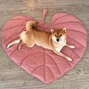 Couverture pour Chien Grande Taille - Douceur et Élégance pour Animaux