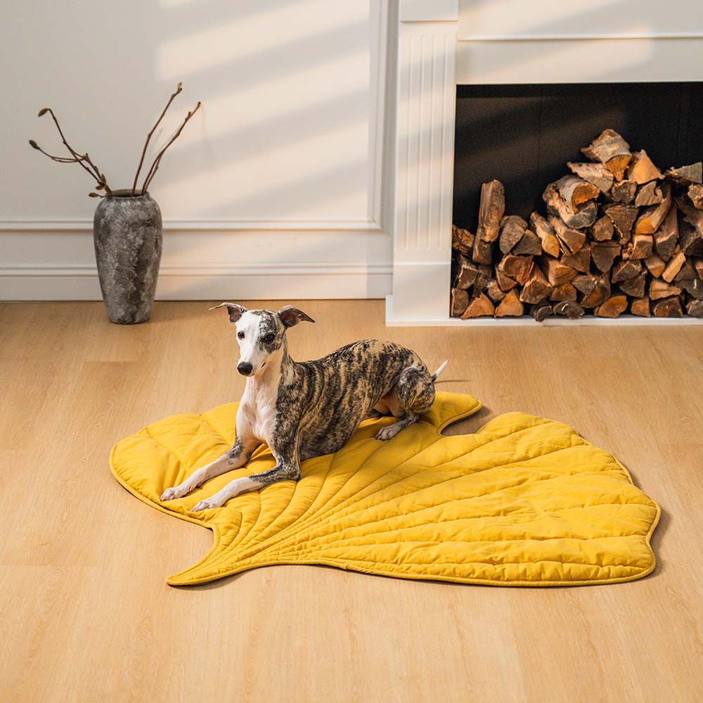 Couverture pour Chien Grande Taille - Douceur et Élégance pour Animaux