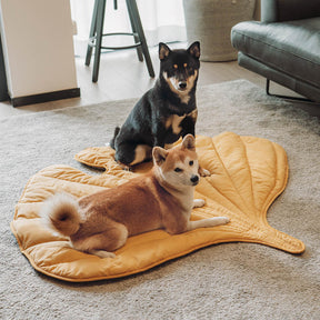 Couverture pour Chien Grande Taille - Douceur et Élégance pour Animaux
