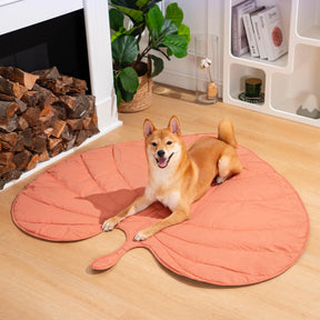 Couverture pour Chien Grande Taille - Douceur et Élégance pour Animaux