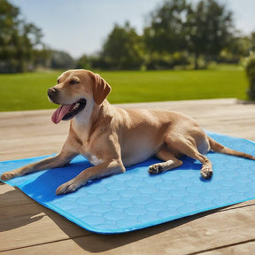 Tapis Refroidissant pour Chiens - Confort et Soulagement en Été