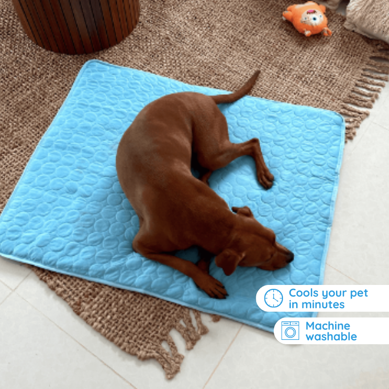 Tapis Refroidissant pour Chiens - Confort et Soulagement en Été