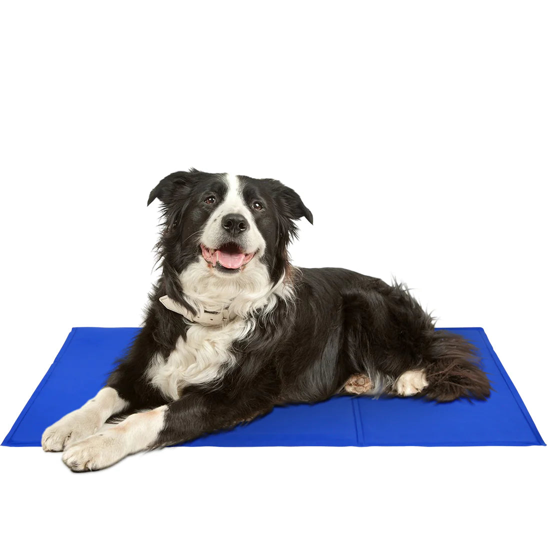 Tapis Rafraîchissants pour Chiens - Confort et Fraîcheur en Été