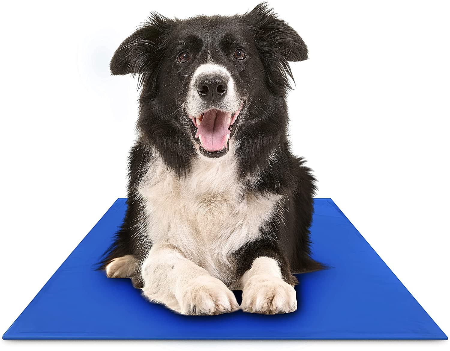 Tapis Rafraîchissants pour Chiens - Confort et Fraîcheur en Été