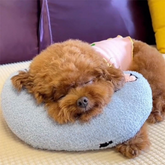Lit pour Chien Apaisant - Molleton Doux pour Réduire l'Anxiété