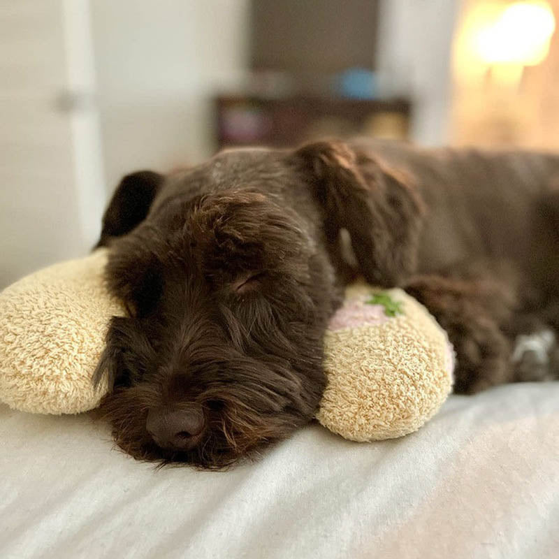 Lit pour Chien Apaisant - Molleton Doux pour Réduire l'Anxiété