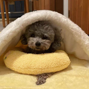 Lit pour Chien Apaisant - Molleton Doux pour Réduire l'Anxiété