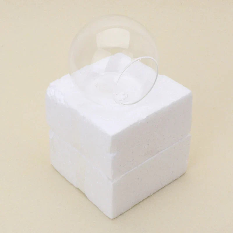 Vase Flottant en Verre - Décoration Hydroponique Élégante et Unique