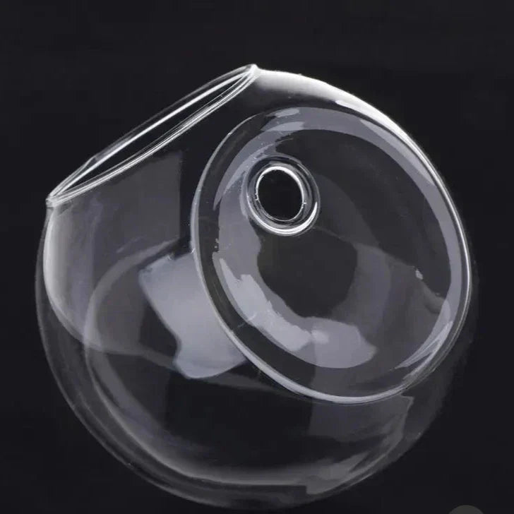 Vase Flottant en Verre - Décoration Hydroponique Élégante et Unique