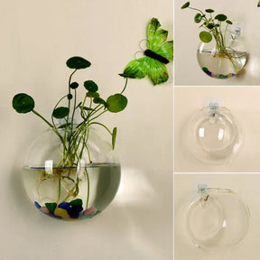 Vase Flottant en Verre - Décoration Hydroponique Élégante et Unique